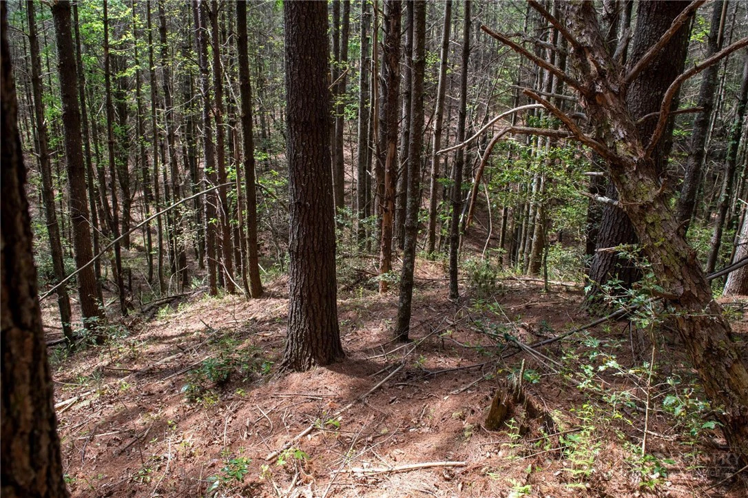 Image number 14 for the current listing