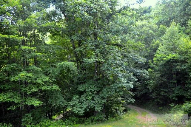 Image number 12 for the current listing