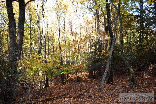 Image number 9 for the current listing