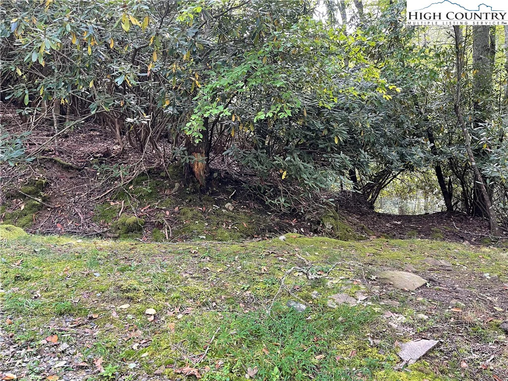 Image number 7 for the current listing