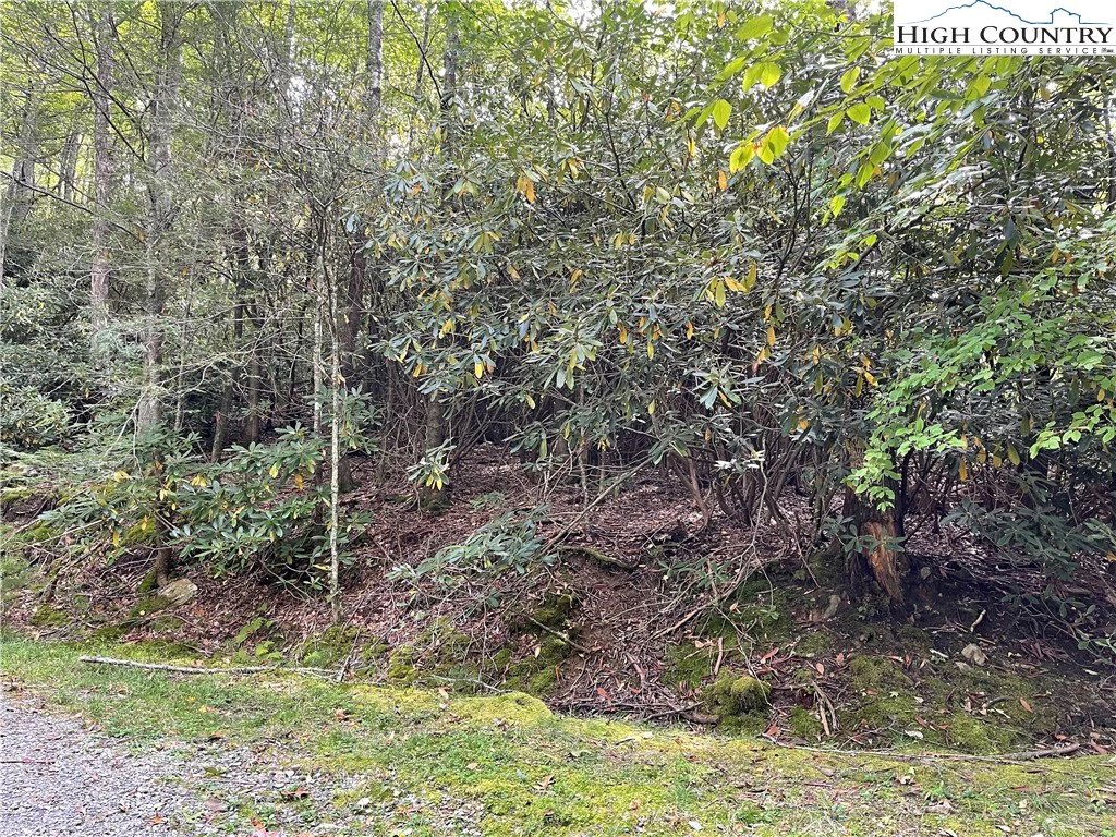 Image number 6 for the current listing