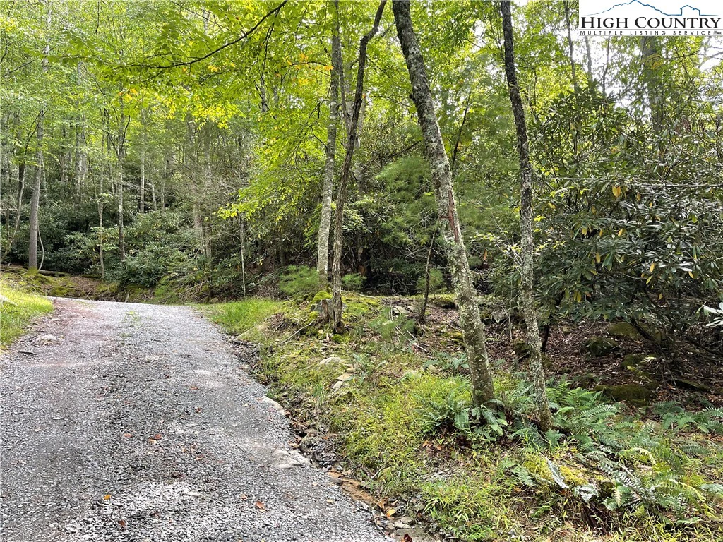 Image number 5 for the current listing