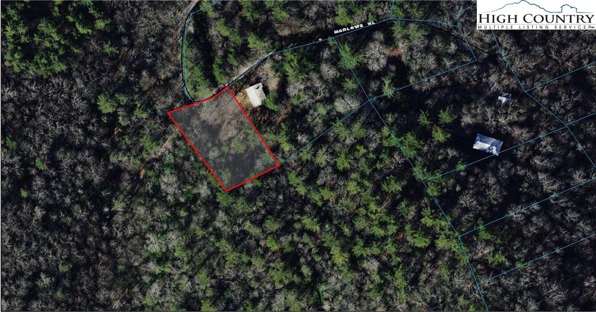 Image number 1 for the current listing