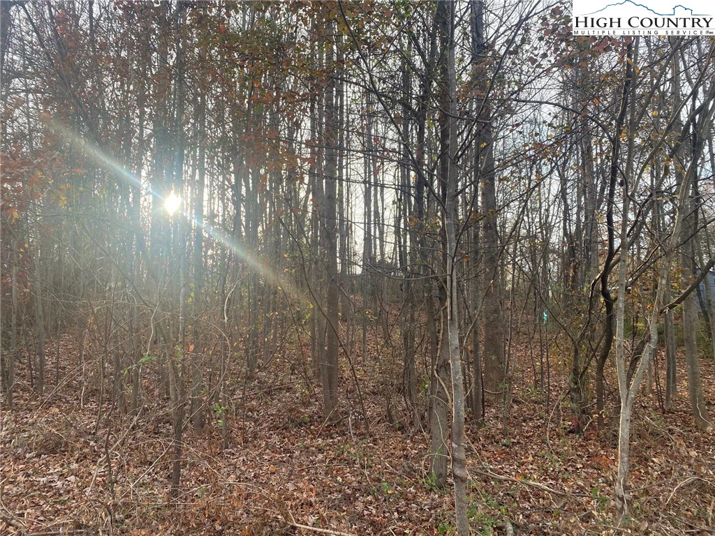 Image number 3 for the current listing
