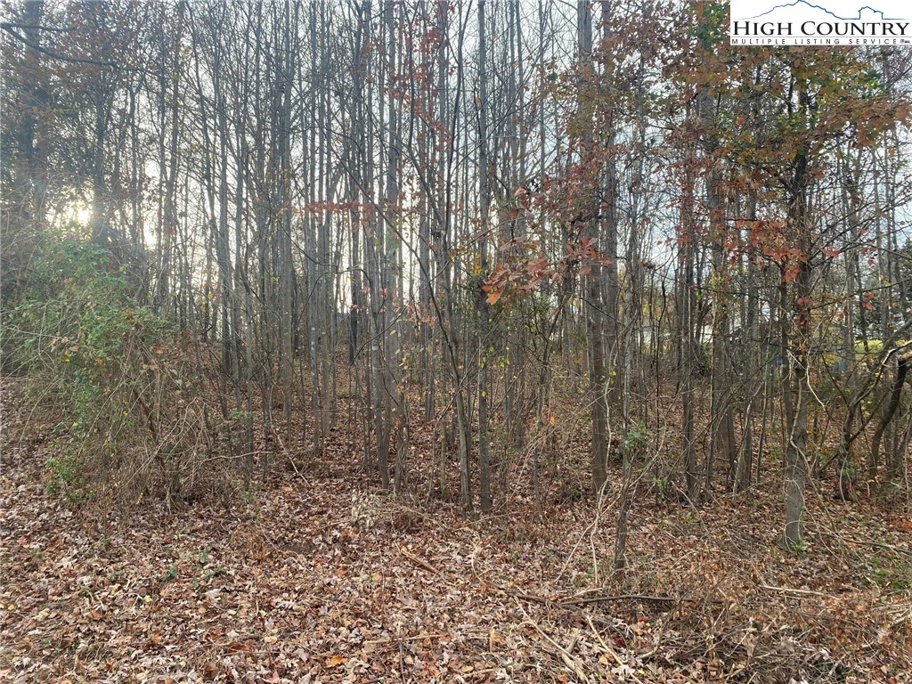 Image number 4 for the current listing