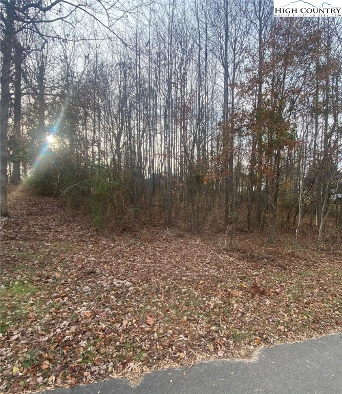 Image number 5 for the current listing