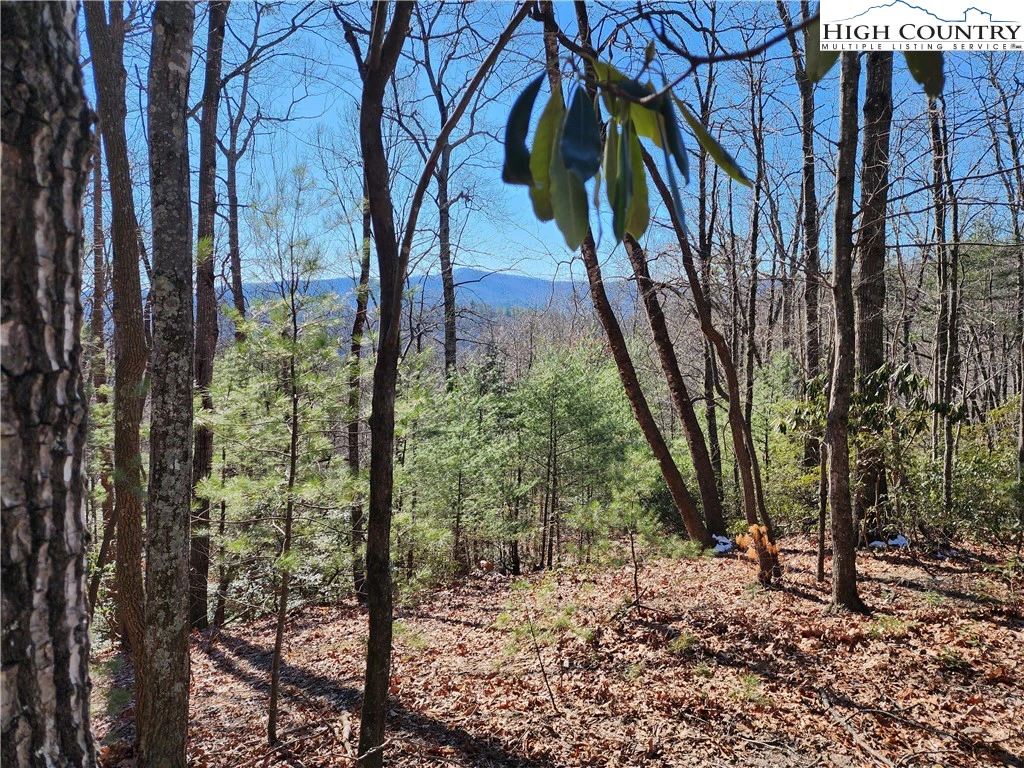 Image number 1 for the current listing