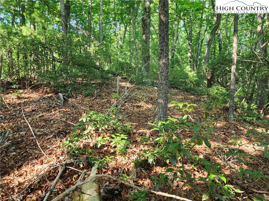 Image number 6 for the current listing