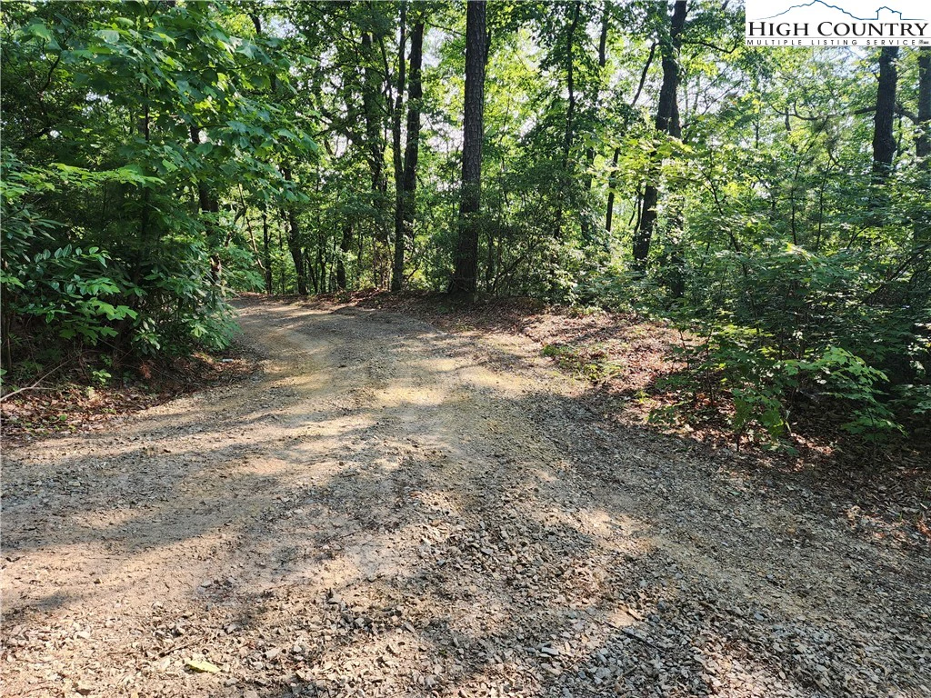 Image number 12 for the current listing
