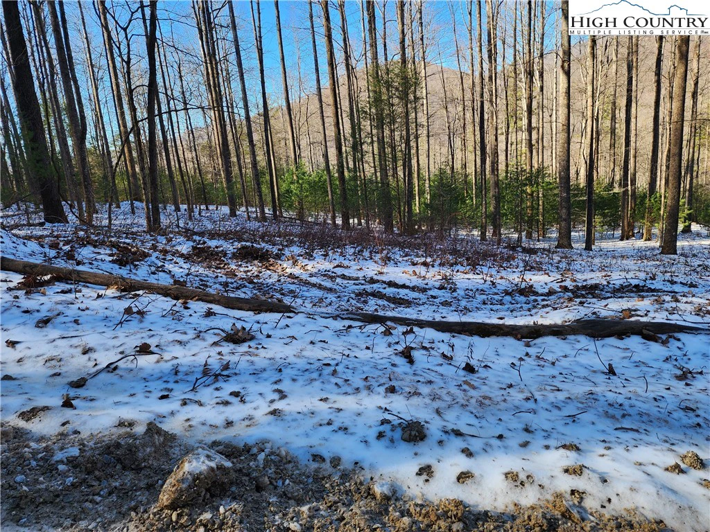Image number 13 for the current listing
