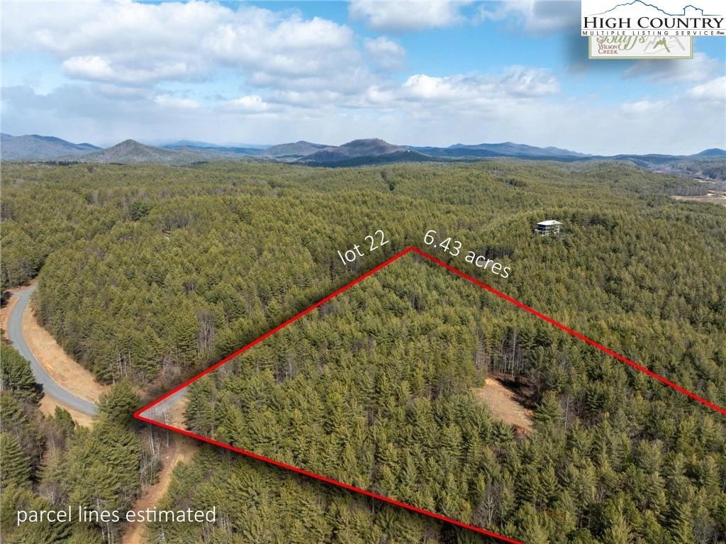 Image number 1 for the current listing