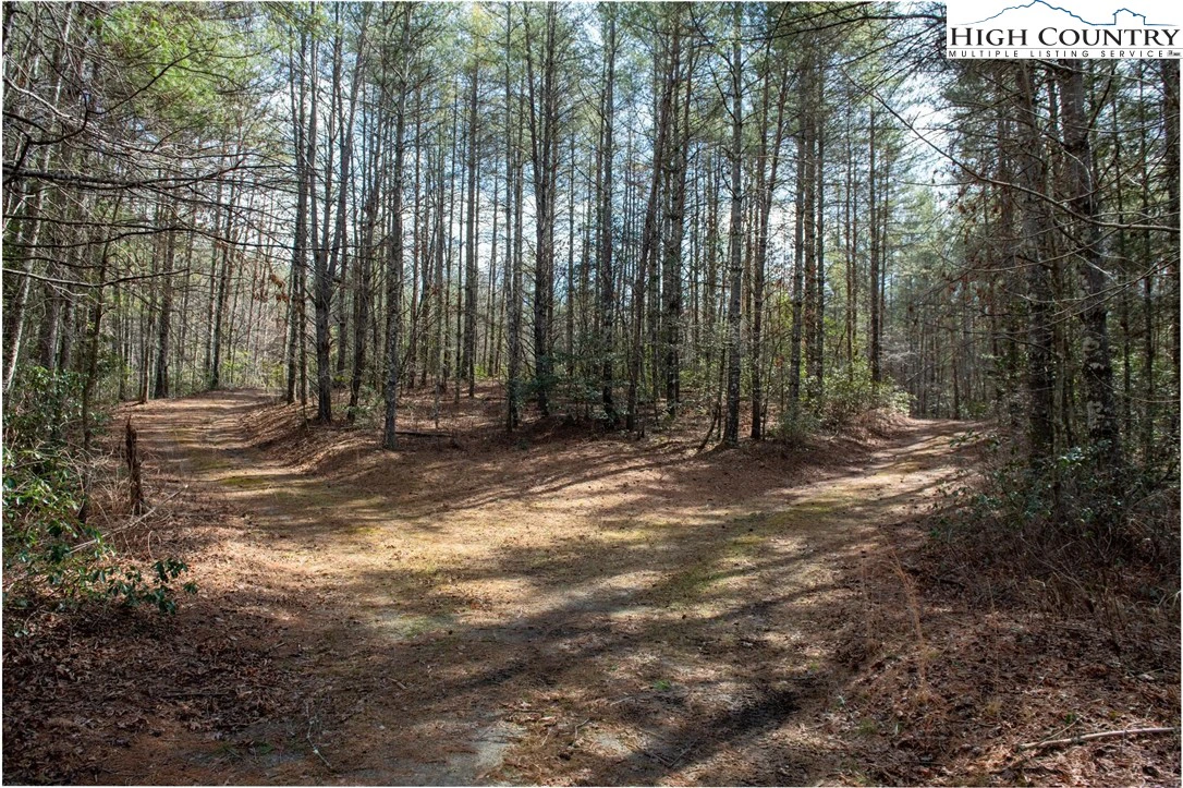 Image number 20 for the current listing