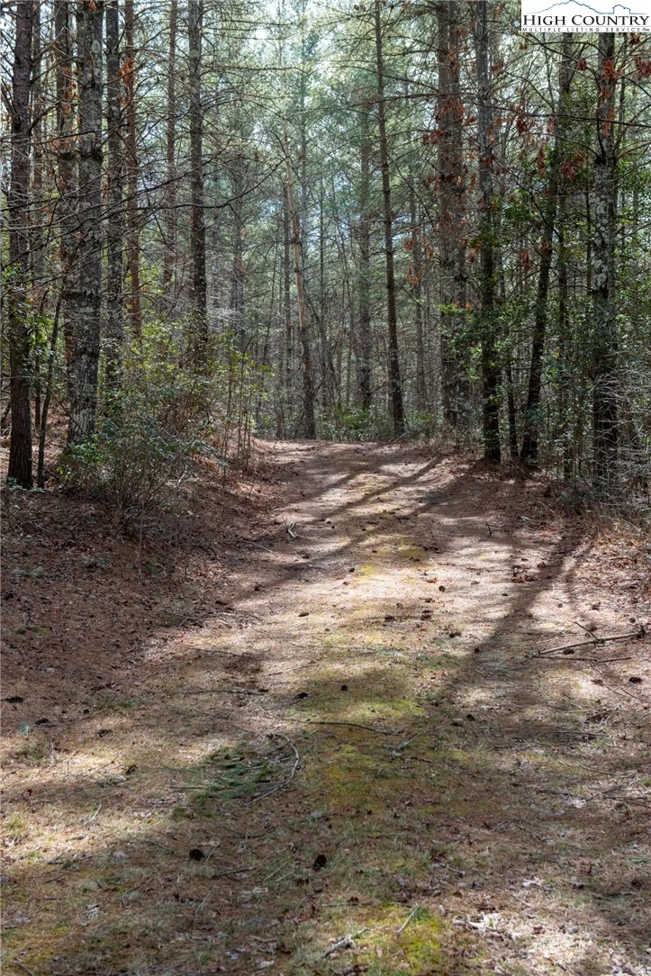 Image number 19 for the current listing