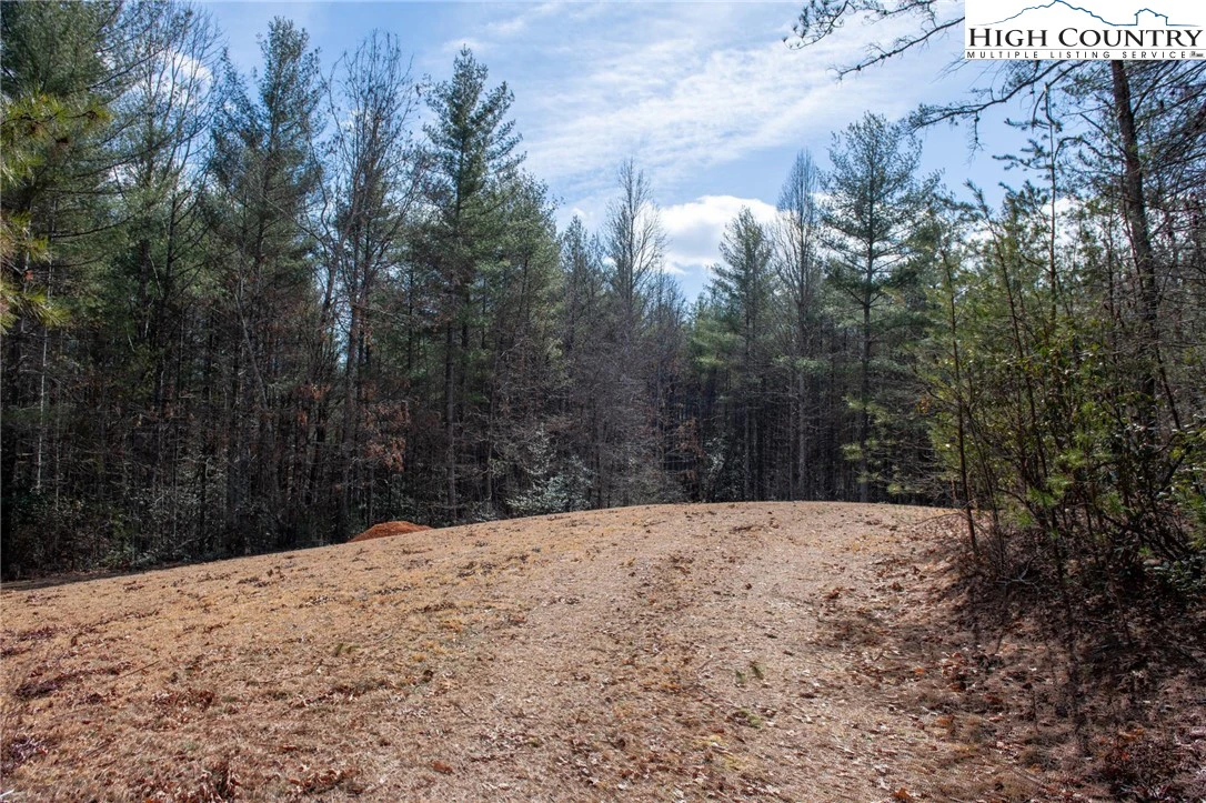 Image number 16 for the current listing