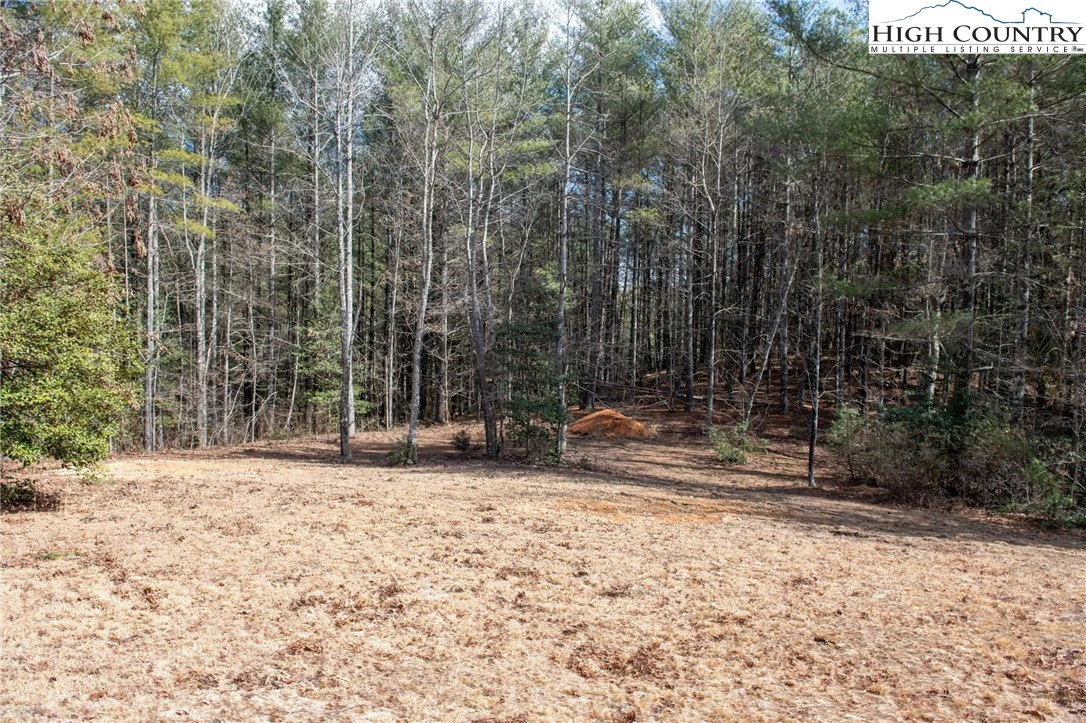 Image number 15 for the current listing