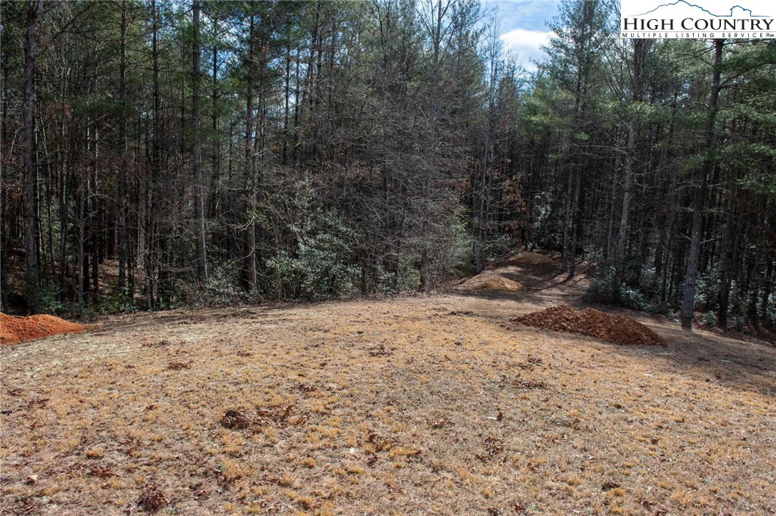 Image number 2 for the current listing