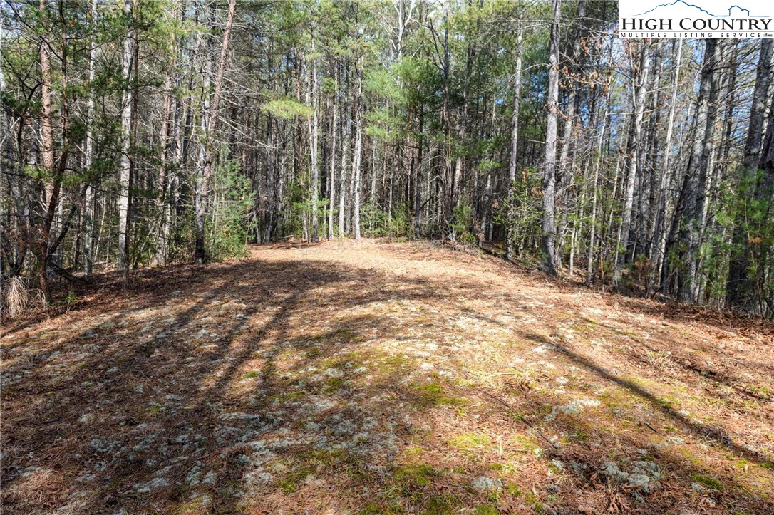 Image number 1 for the current listing