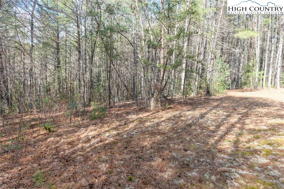 Image number 20 for the current listing