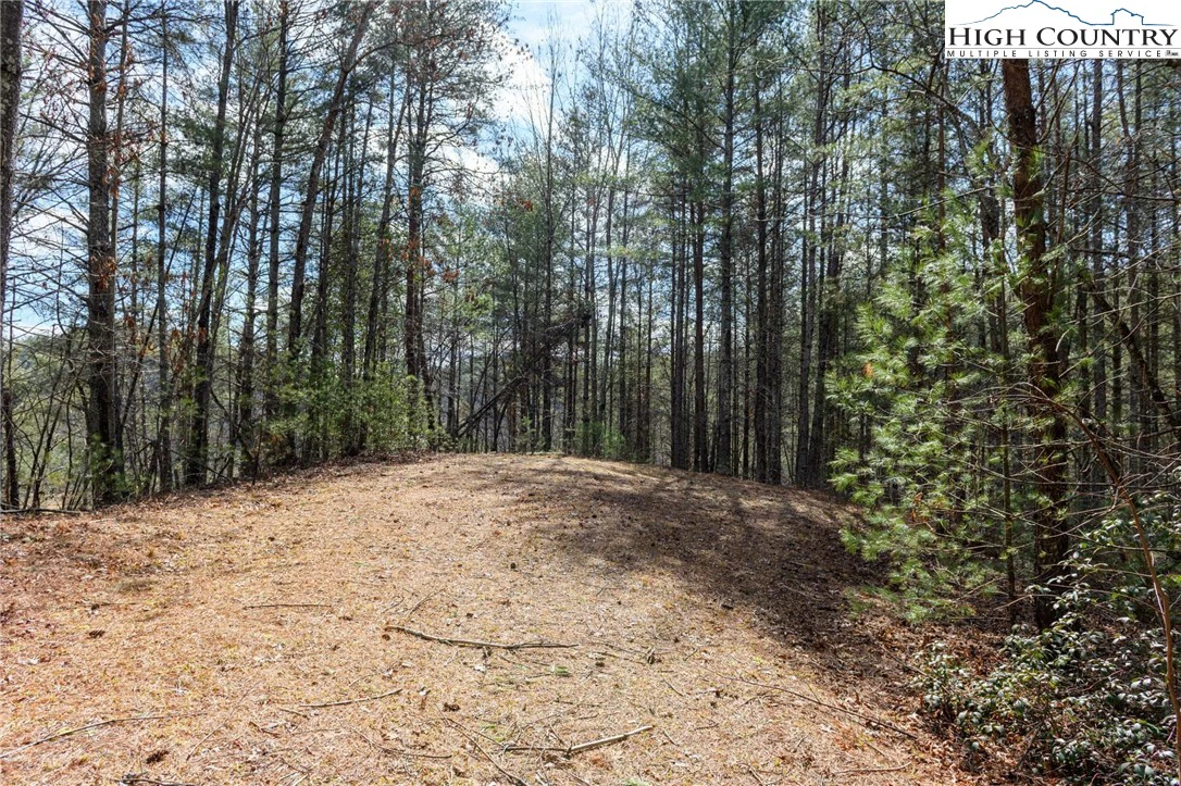 Image number 18 for the current listing