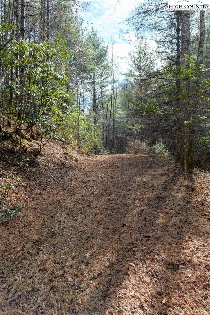 Image number 14 for the current listing