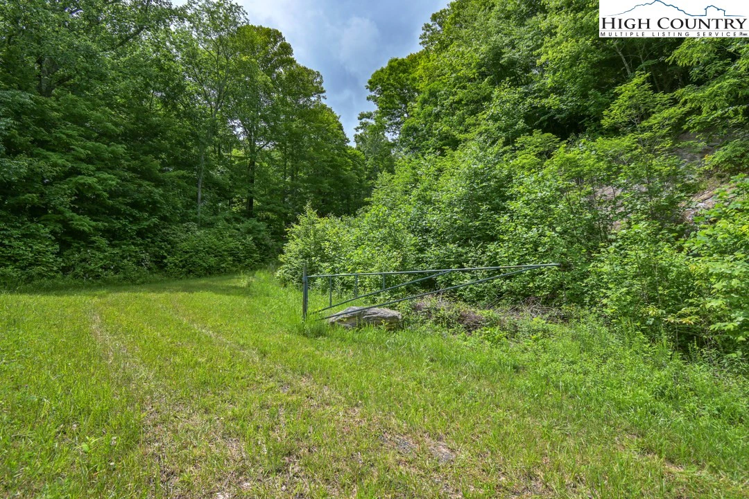 Image number 2 for the current listing