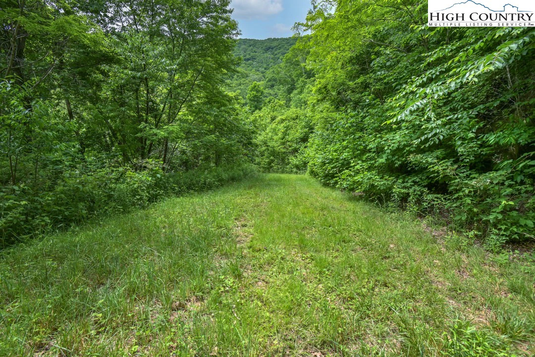 Image number 12 for the current listing