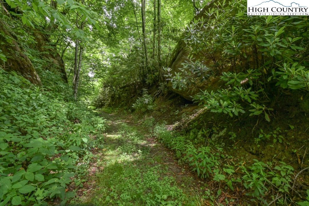 Image number 11 for the current listing