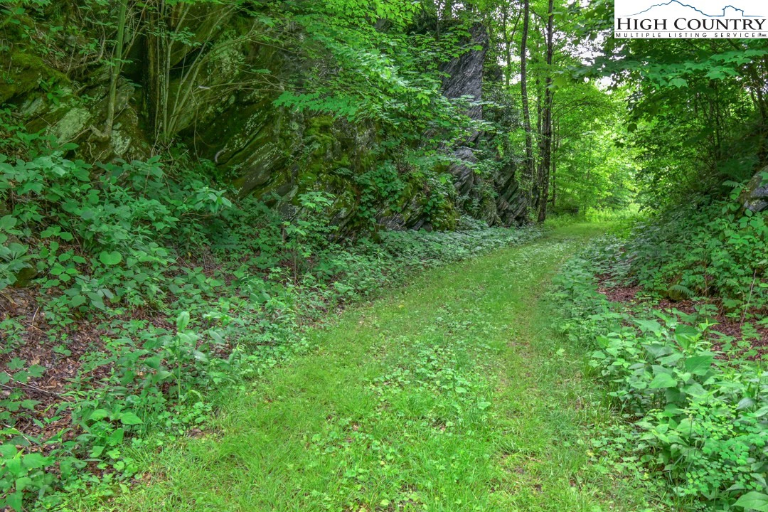 Image number 9 for the current listing