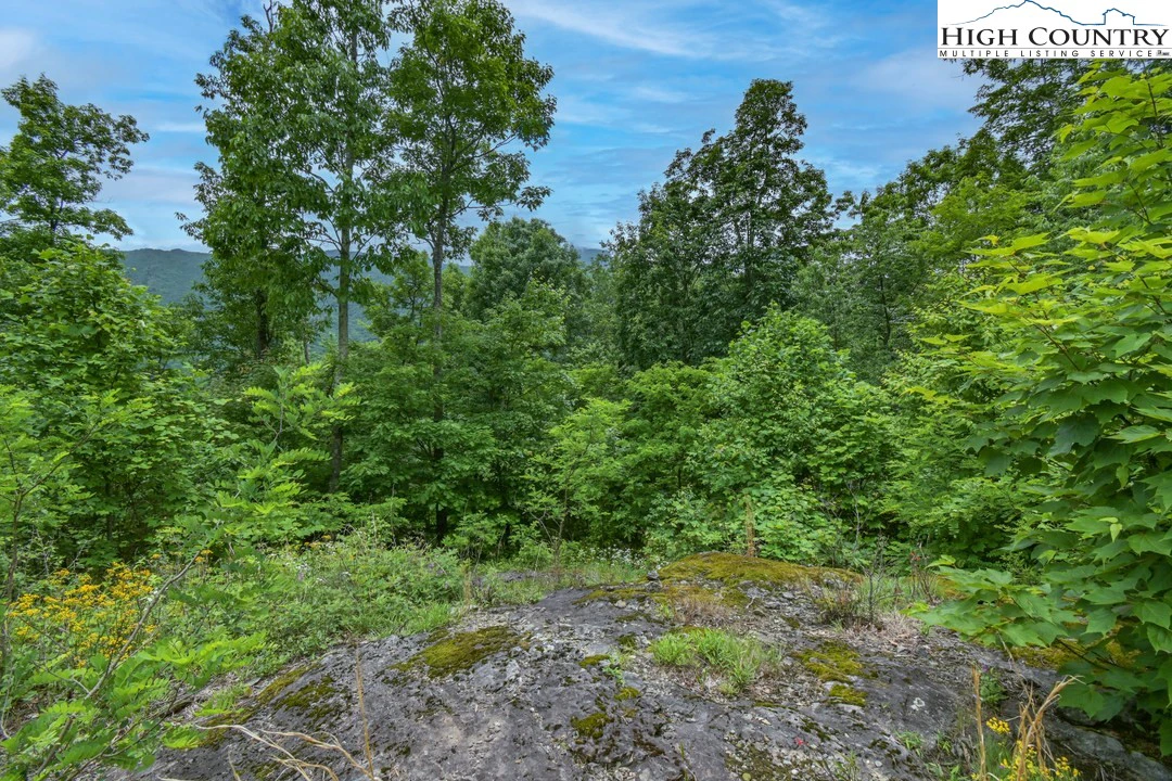 Image number 7 for the current listing