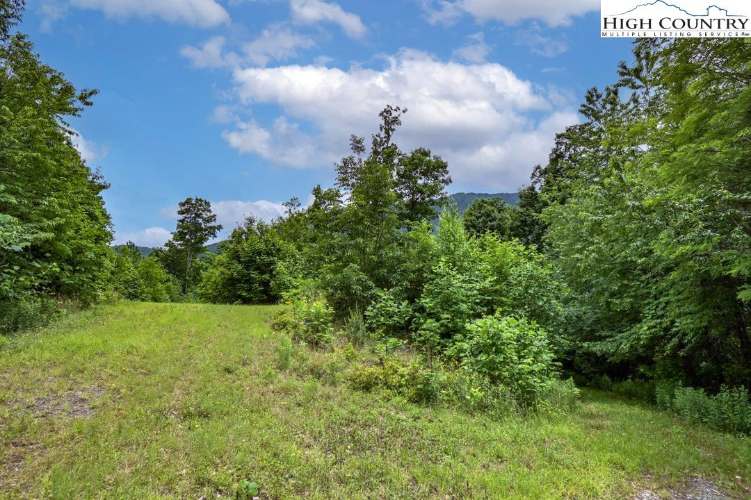 Image number 6 for the current listing