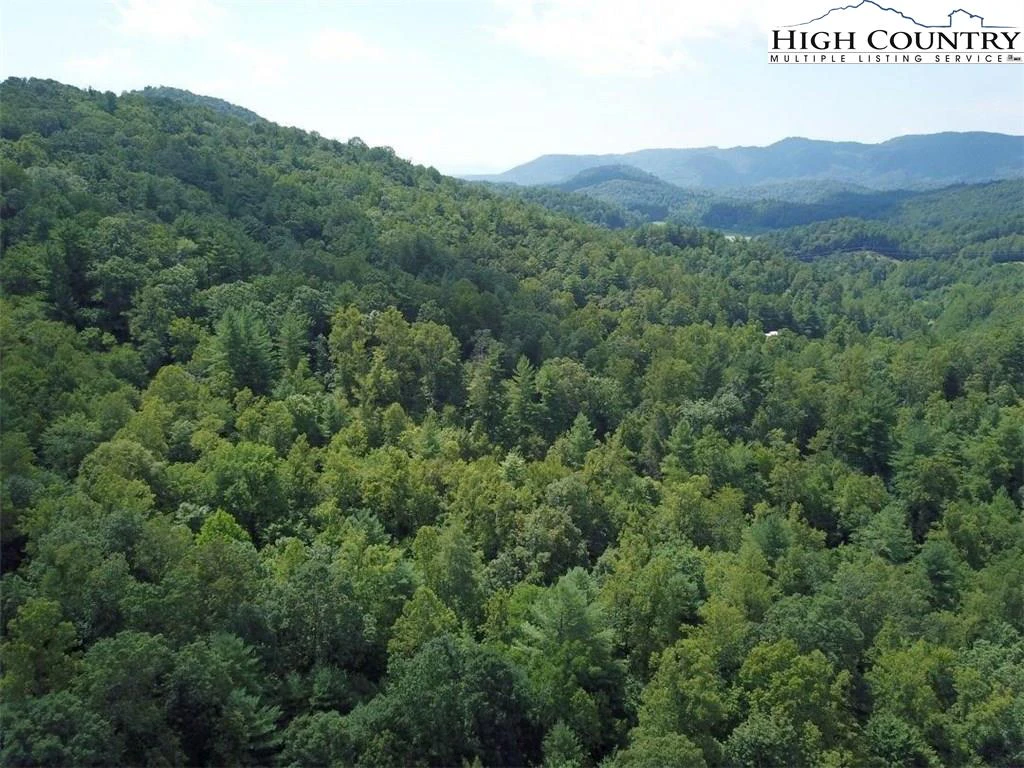 Image number 1 for the current listing