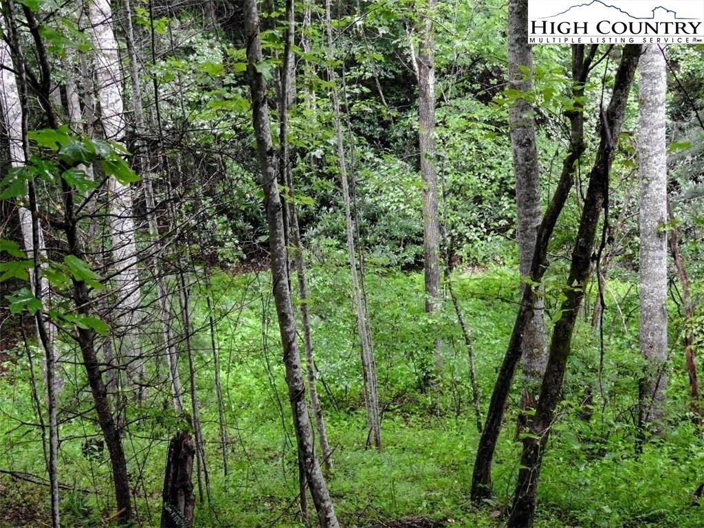 Image number 14 for the current listing