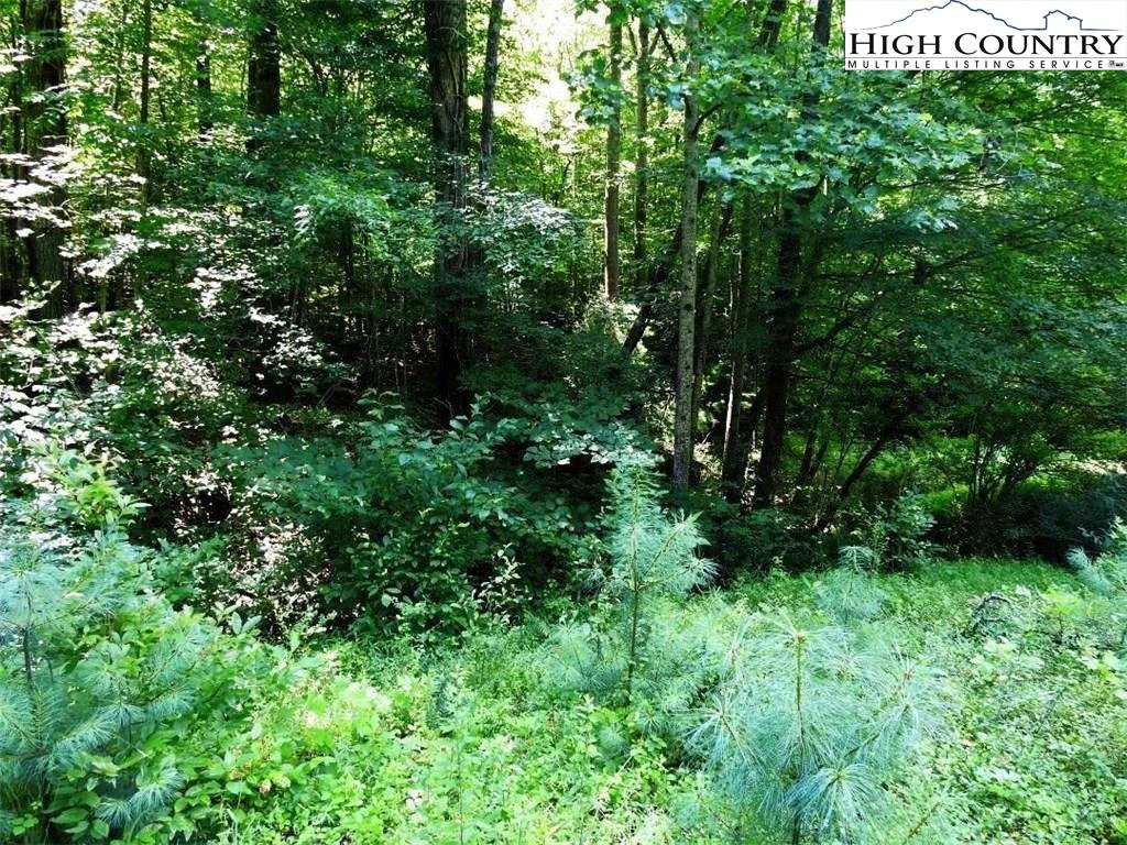 Image number 2 for the current listing