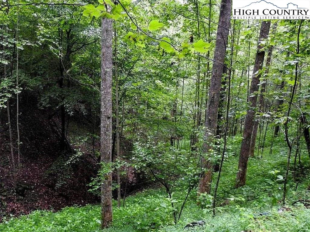Image number 11 for the current listing
