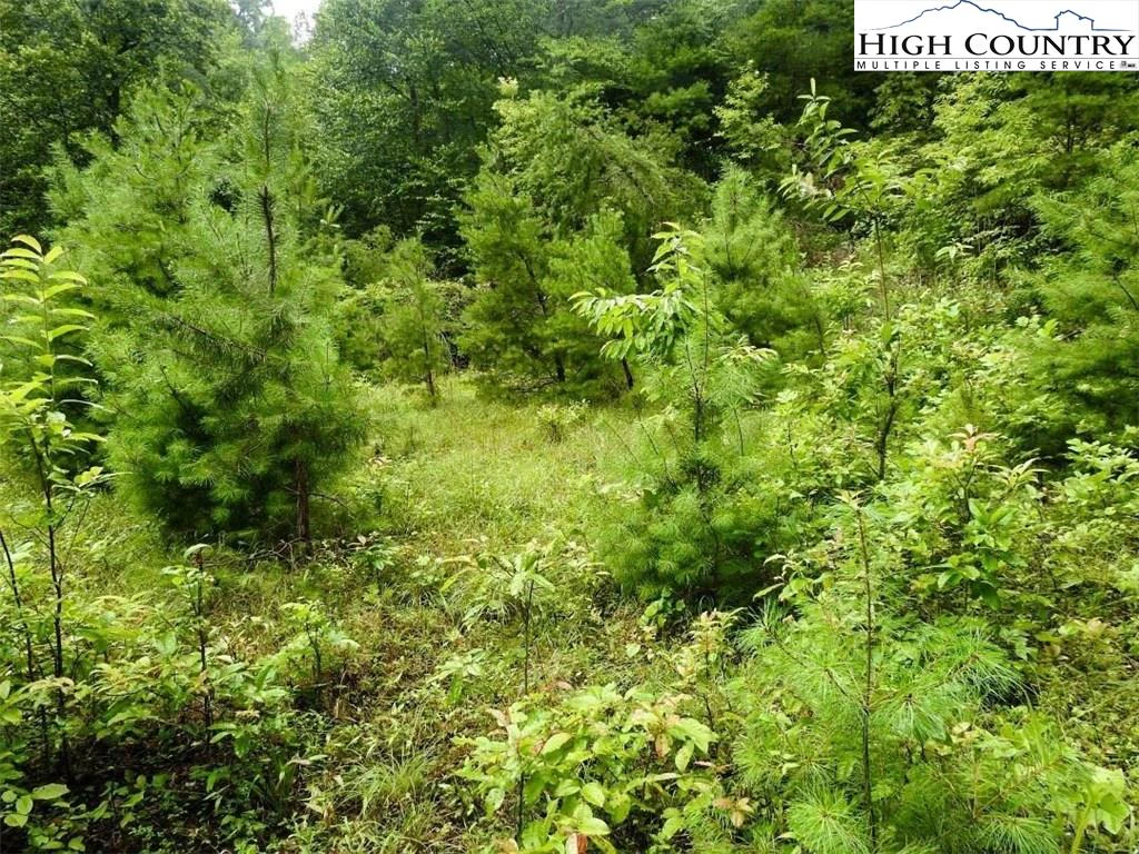 Image number 20 for the current listing