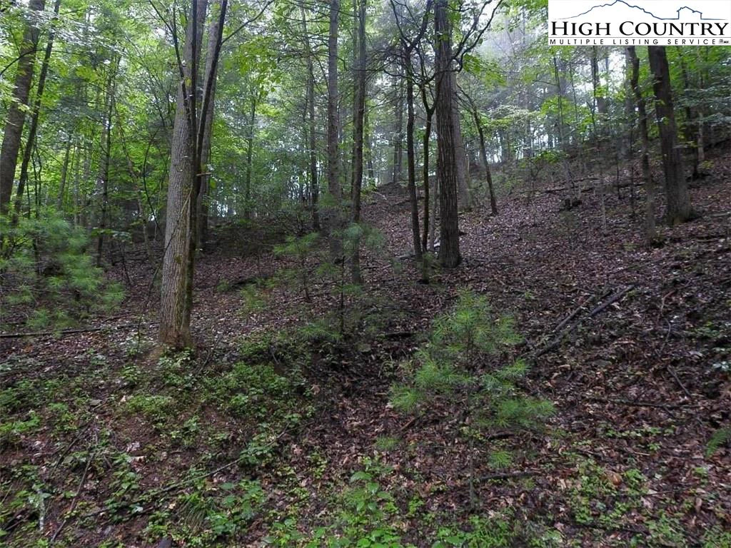 Image number 19 for the current listing
