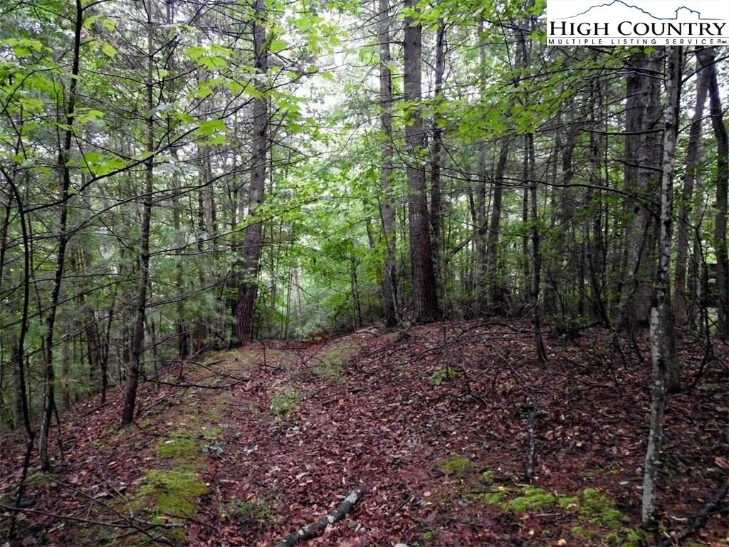 Image number 18 for the current listing