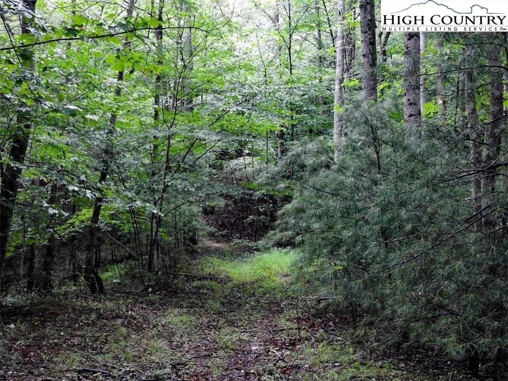 Image number 17 for the current listing