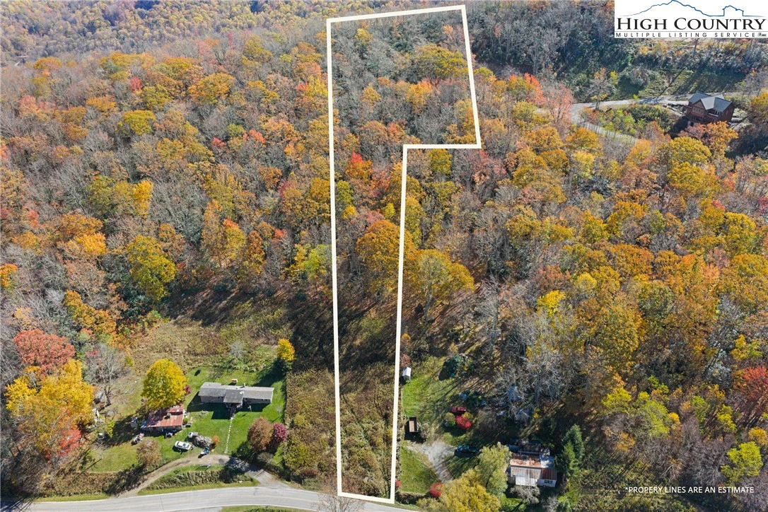 Image number 1 for the current listing