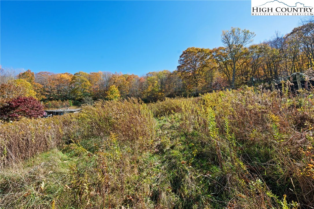 Image number 15 for the current listing