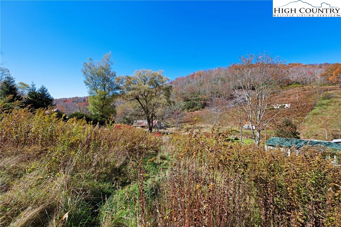 Image number 14 for the current listing