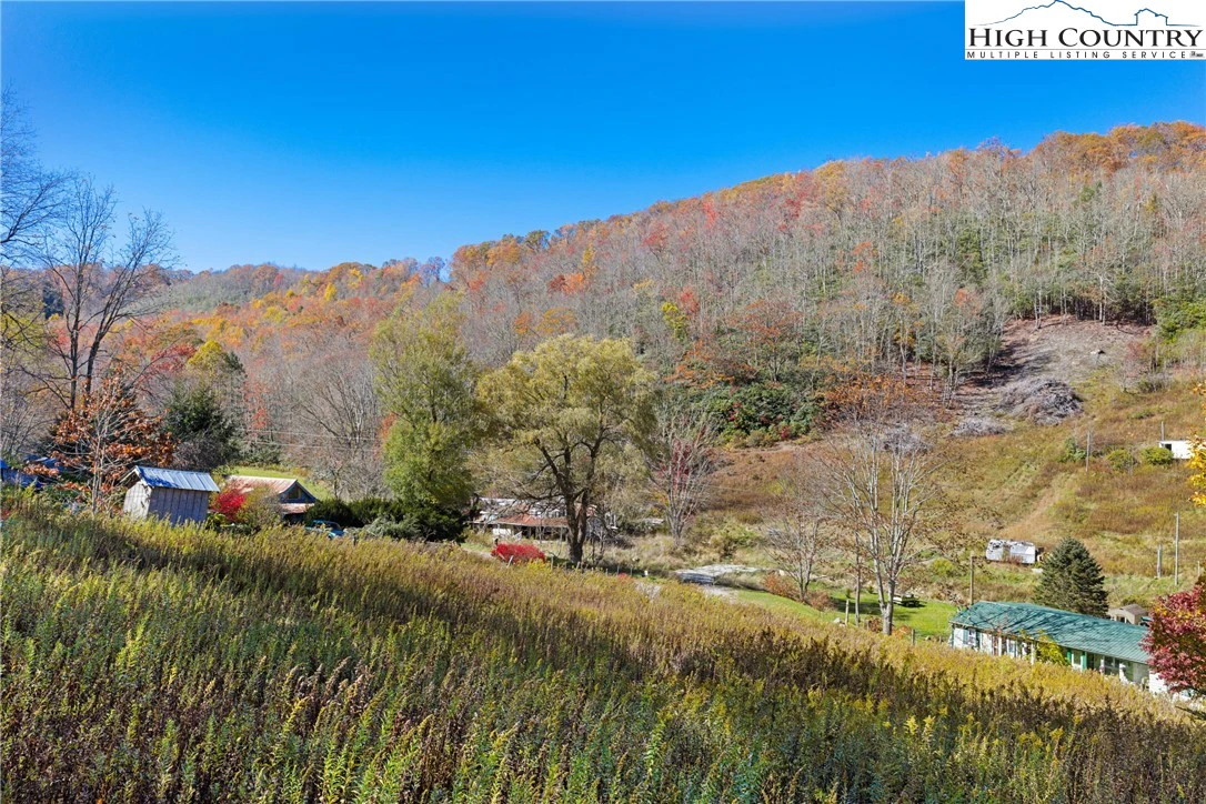 Image number 13 for the current listing
