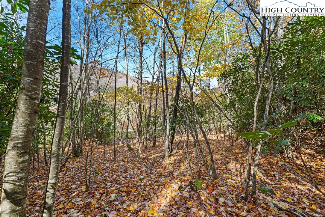 Image number 11 for the current listing