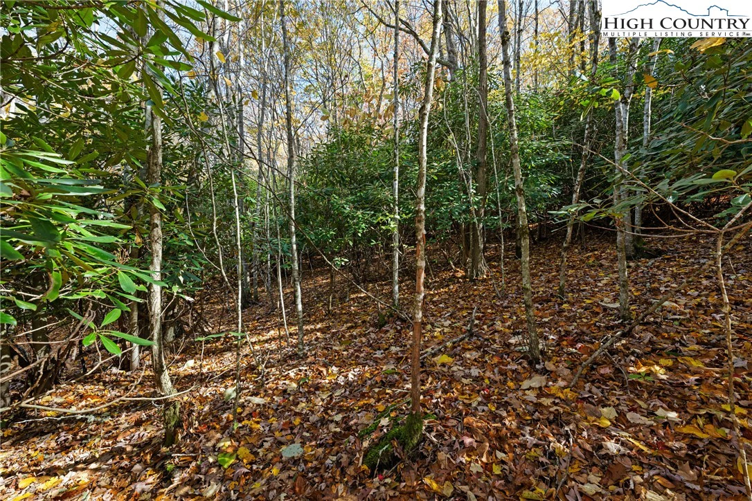 Image number 9 for the current listing