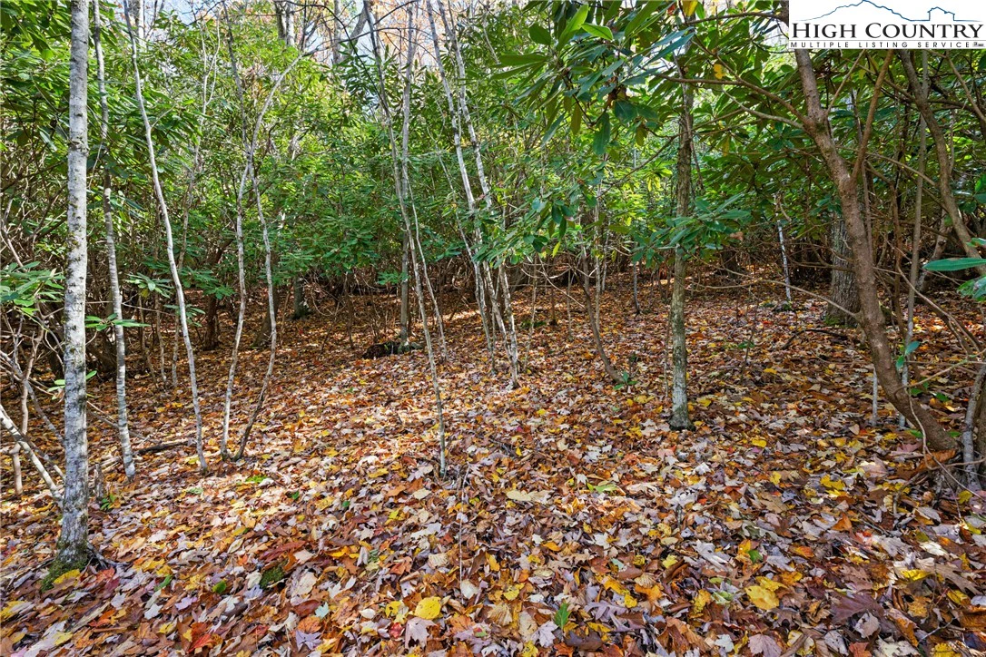 Image number 8 for the current listing