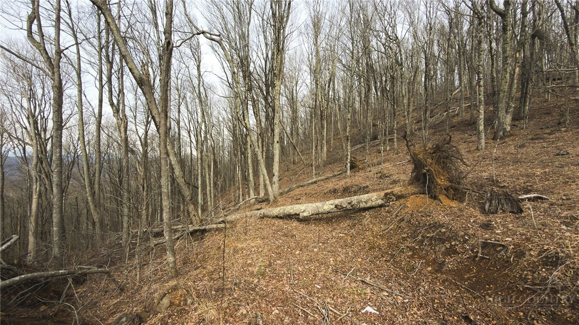 Image number 4 for the current listing