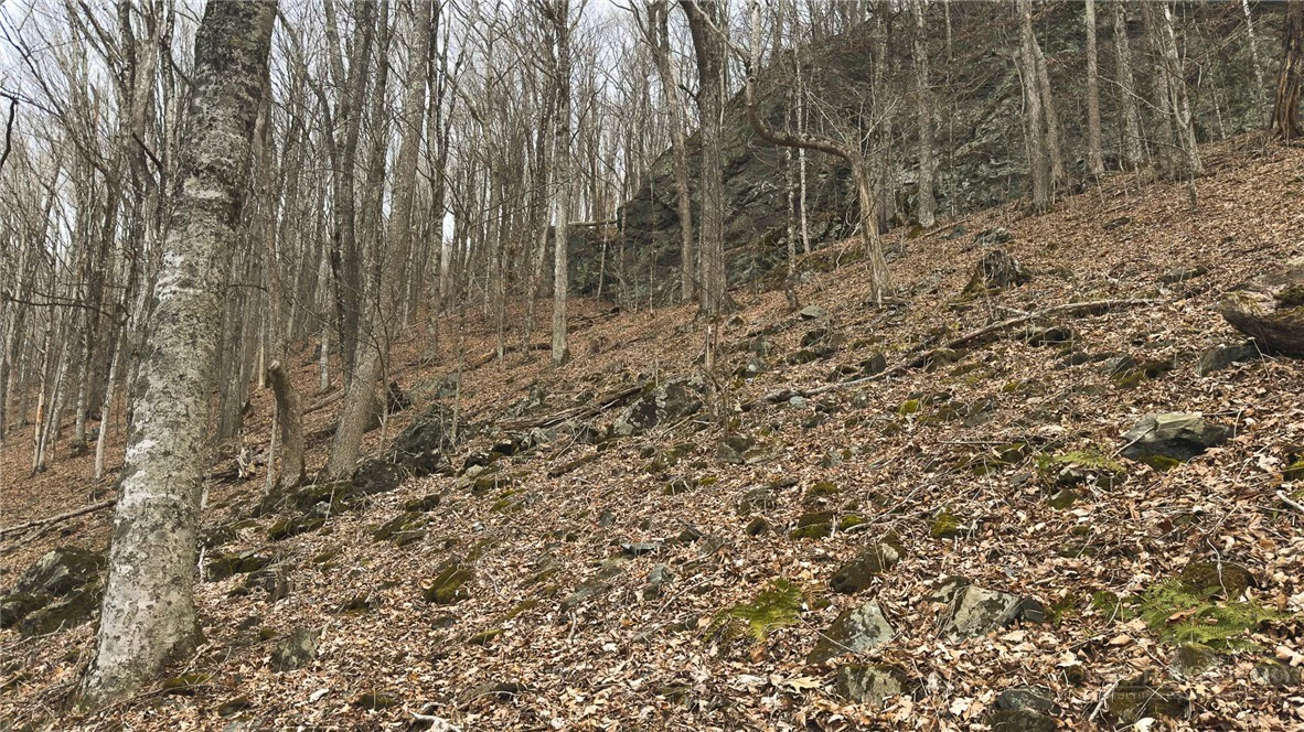 Image number 9 for the current listing