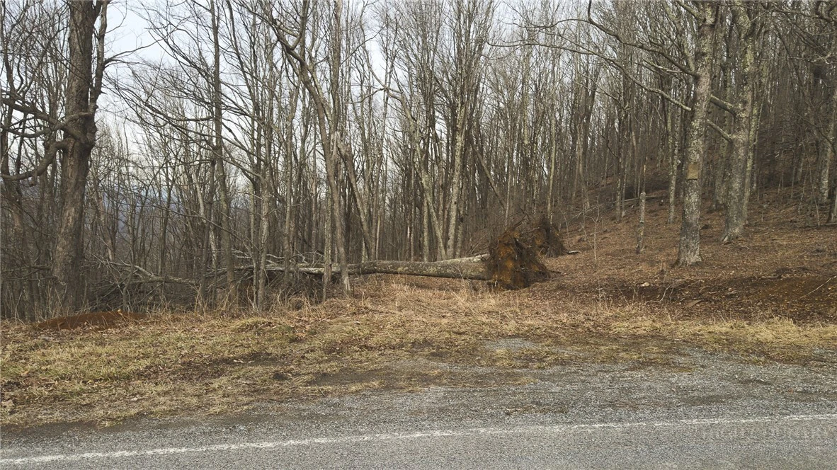 Image number 7 for the current listing