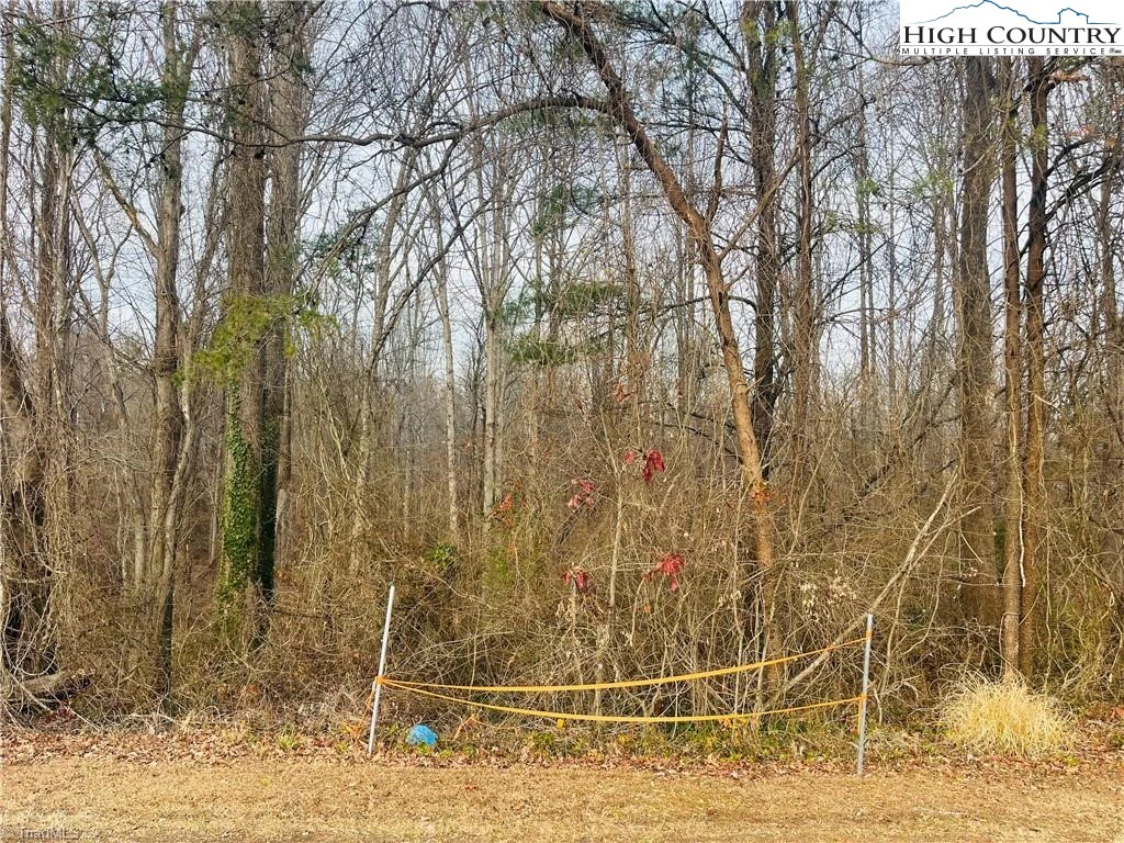 Image number 1 for the current listing
