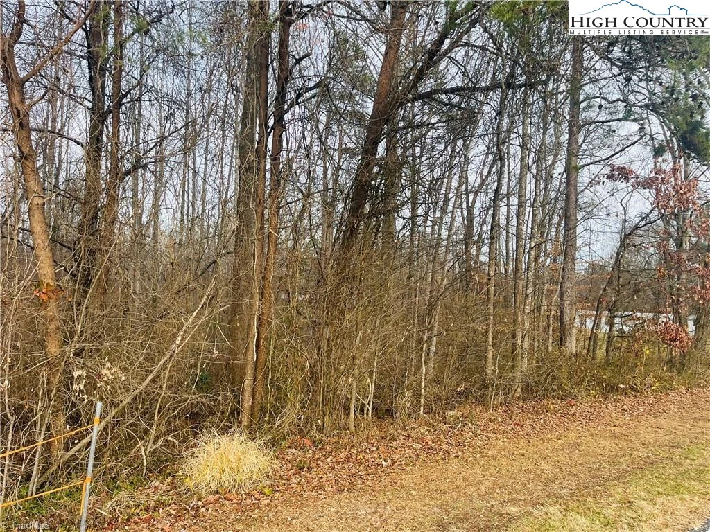 Image number 3 for the current listing
